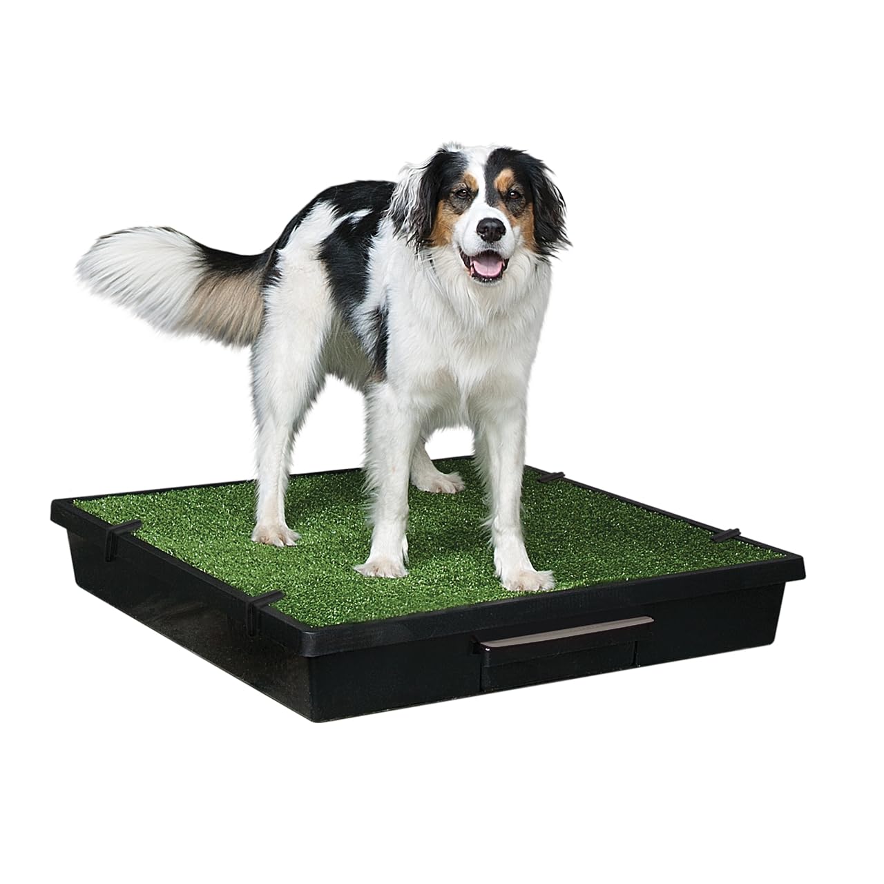 PetSafe Pet Loo Indoor Pet Toilet, Portable Dog Potty Station, Grass Pad Tray of Synthetic Grass Mat, Easy to Clean, Large, Large (Pack of 1)