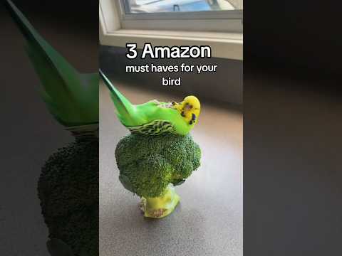 3 AMAZON Bird Toys! 🐦🍒
