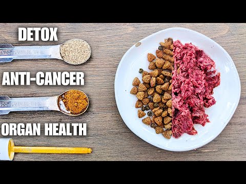 3 Supplements Every Pet Owner NEEDS To Know About