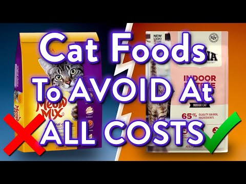 9 Cat Foods To AVOID (And The 2 That Are Worth It)