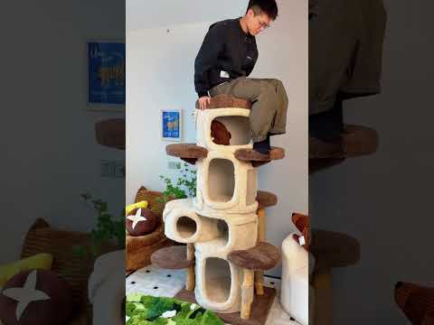 Deluxe Large Cat Climbing Frame Treehouse🤩 #bestpetsupplies #cat #catfurniture