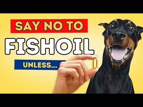 Don't give your Pets Fish Oil UNLESS you are doing these 5 Things