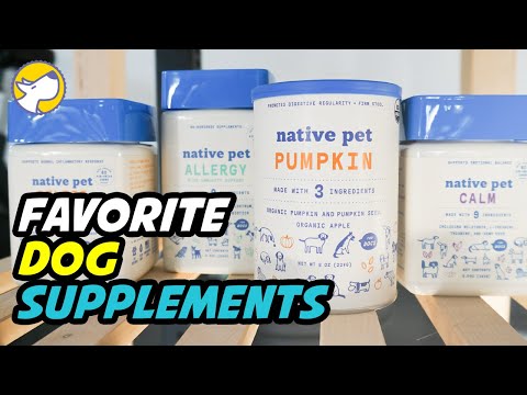 My Favorite Dog Supplements