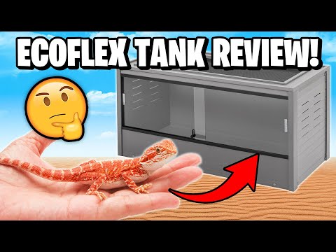 New Age Pet Ecoflex Reptile Tank Review!