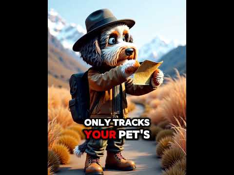 Pet Tech Face-Off: Ball Launcher vs.Tracker.#PetGadgets #PetTech #SmartPets #PetLovers #DogTech