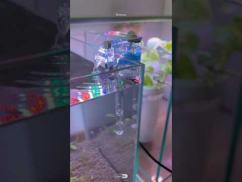 #shorts ONE OF THE BEST mini hang on back filter for nano aquariums | NEPALL hang on back filter