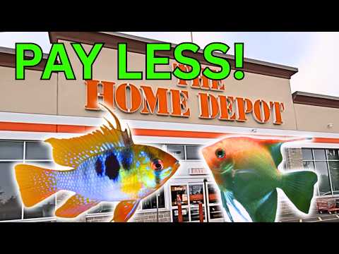 Stop Wasting Money on These Aquarium Supplies! 10 Things You Can Get at Home Depot!