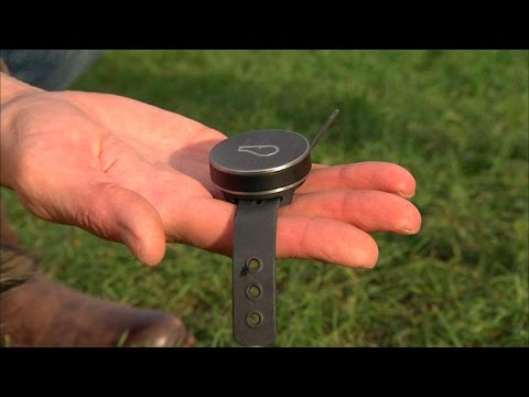 Tech Minute - Pet Tech