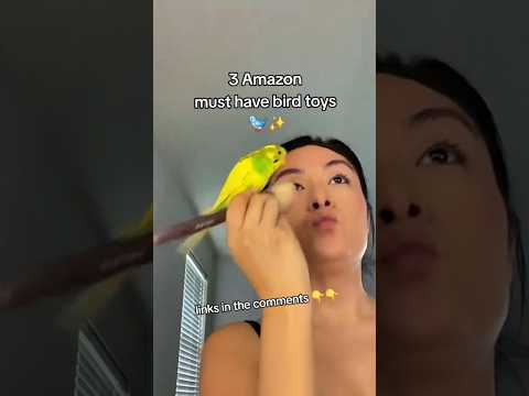 Top 3 Amazon bird toys 🐦👀